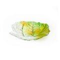 Folia Spring bowl (medium)