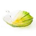 Folia Spring bowl (large)