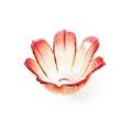 Floral Fantasy Grace light bowl