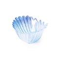 Shell bowl