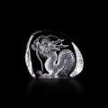 Wildlife Dragon (small)