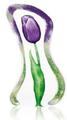 Floral Fantasy Tulip