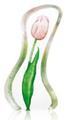 Floral Fantasy Tulip