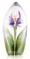 Floral Fantasy Lelia Ltd Ed