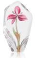 Floral Fantasy Residia