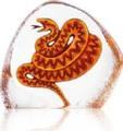 Wildlife Snake