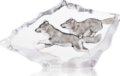Wildlife Wolves