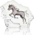 Wildlife Horse (small)