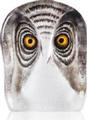 Wildlife Owl (small)