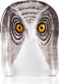 Wildlife Owl (medium)