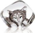 Wildlife Cat (miniature)