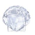 SWAROVSKI Ark Shell