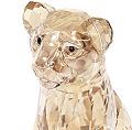 2016 SCS Lion Cub