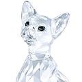 Swarovski Crystal Siamese CaT