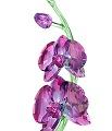 Swarovski Crystal Orchids