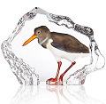 Mats Jonasson Crystal Painted Sandpiper 34271
