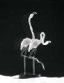 Flamingo Pair Glass Sculpture - Special order