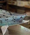 Hopko Steelhead/  King Salmon Spring runner series
