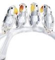 Swarovski Baby Lovebirds