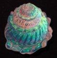 Spiral Dichroic Shell CURRENTLY UNAVAILABLE