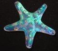 Starfish Thorny Dichroic CURRENTLY UNAVAILABLE