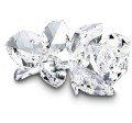 Swarovski Rose Archived Data