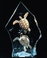 Intrepid Spirit - Turtles by Kitty Cantrell, Ltd Edition