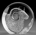 Ram - Sheep Head