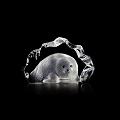 Mats Jonasson Baby Seal