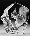 Squirrel - Crystal Etching by Mats Jonasson-MJ 33280