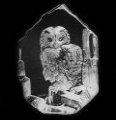 Mats Jonasson Crystal Tawny Owl Glass Etching  MJ 33602