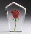 Mats Jonasson Rose, Red - MJ 33871