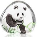 Mats Jonasson Panda Bear Lead Crystal Etching- MJ 33363