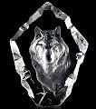 Mats Jonasson Wildlife Wolf