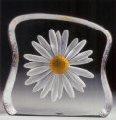 Daisy, Large - MJ 33886