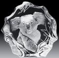 Mats Jonasson Koala Bear -Glass Etching MJ 33626