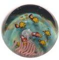 Jesse Taj Clownfish with Coral Paperweight