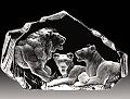 Mats Jonasson Lion Family