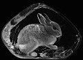 Mats Jonasson Etched Crystal Rabbit MJ 33738