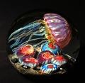 Richard Satava Gold Ruby Swimming Jellyfish Custom Order Item