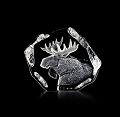Mats Jonasson Wildlife Moose- 33750
