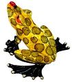 Yellow 'Don't Bug Me' Frog