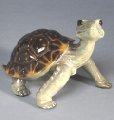 Brown-Yellow Daden  Bronze Turtle Sculpture by Barry Stein
