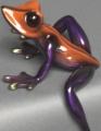 Orange and Purple Elexess Frog by Barry Stein