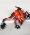 Red Peek-A-Boo Bronze Frog by Barry Stein