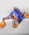 Multicolor Purple Peek A Boo Bronze Frog Sculpture by Barry Stein