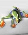Multicolor Green Peek A Boo Bronze Frog by Barry Stein