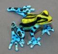 Blue and Yellow Precious Frog Sculpture by Barry Stein