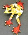 Multi-Color White Slider Frog Bronze Sculpture by Barry Stein