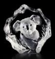 Mats Jonasson Koala Bear, Miniature Glass Etching-MJ 88129